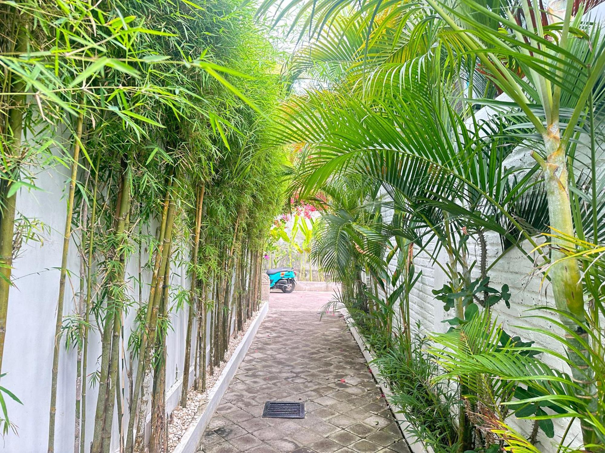 Villa Samudra Damai - Luxury And Peaceful In The Heart Of Bingin - 3 Exclusive Uluwatu